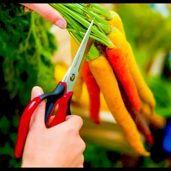 Tupperware universal series kitchen shears